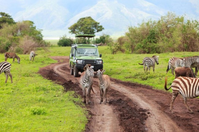safari-to-tanzania.jpg