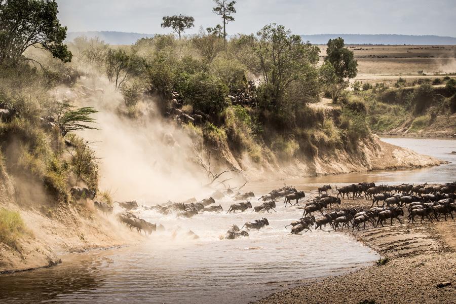 Safaris-in-Tanzania.jpg